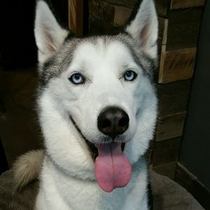 Meet your Posher, Sherrie